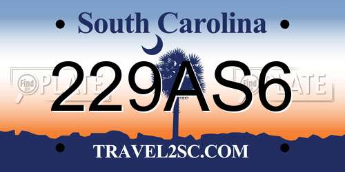 229AS6 South Carolina License Plate