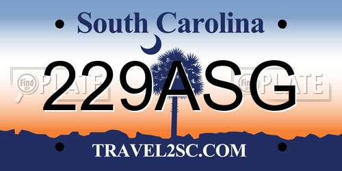 229ASG South Carolina License Plate