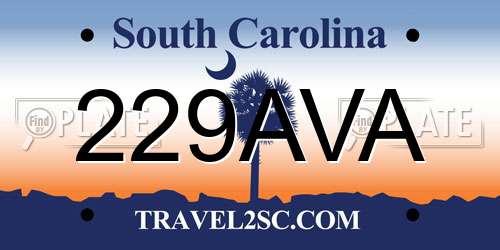 229AVA South Carolina License Plate