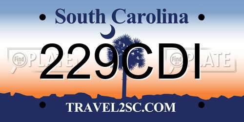229CDI South Carolina License Plate