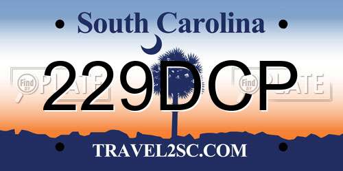 229DCP South Carolina License Plate