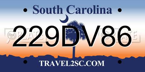 229DV86 South Carolina License Plate