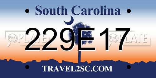 229E17 South Carolina License Plate