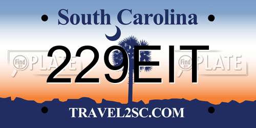 229EIT South Carolina License Plate