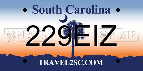 229EIZ South Carolina License Plate