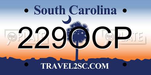 229OCP South Carolina License Plate