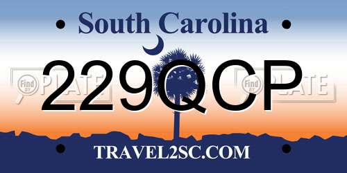 229QCP South Carolina License Plate