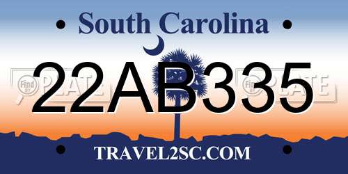 22AB335 South Carolina License Plate
