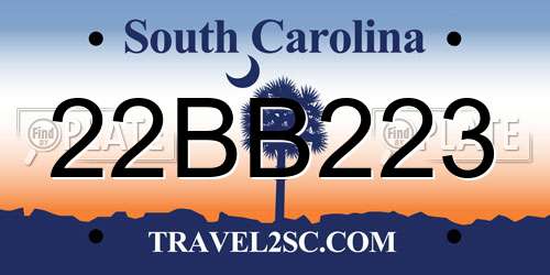 22BB223 South Carolina License Plate