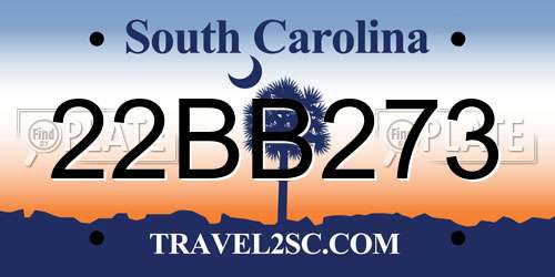 22BB273 South Carolina License Plate