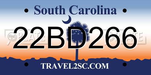 22BD266 South Carolina License Plate