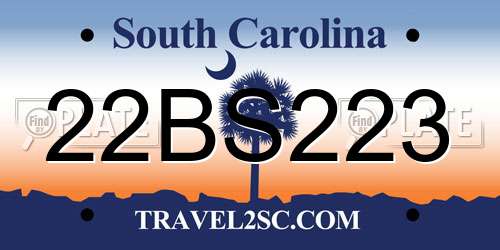 22BS223 South Carolina License Plate