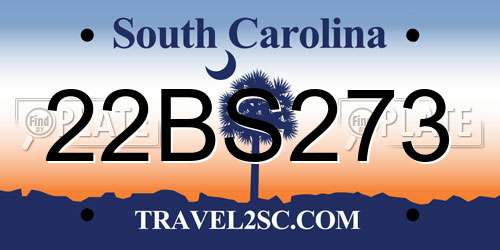 22BS273 South Carolina License Plate