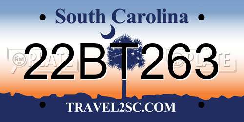 22BT263 South Carolina License Plate