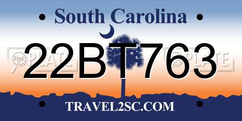 22BT763 South Carolina License Plate