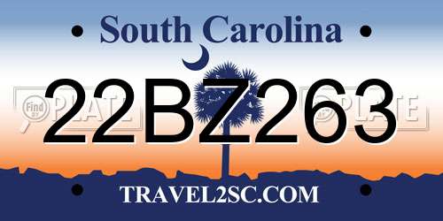 22BZ263 South Carolina License Plate