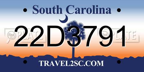 22D3791 South Carolina License Plate