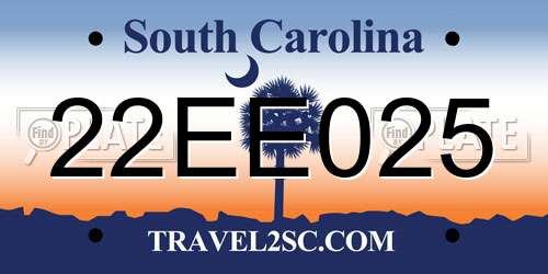 22EE025 South Carolina License Plate