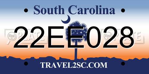22EE028 South Carolina License Plate