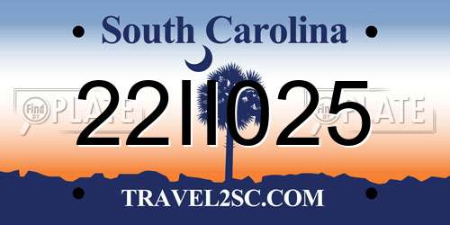 22II025 South Carolina License Plate
