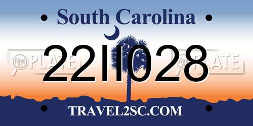 22II028 South Carolina License Plate