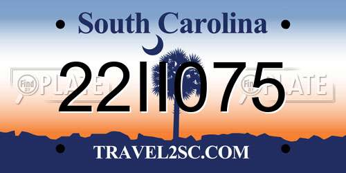 22II075 South Carolina License Plate