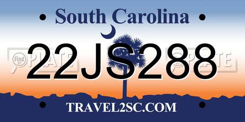 22JS288 South Carolina License Plate