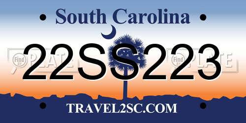 22SS223 South Carolina License Plate