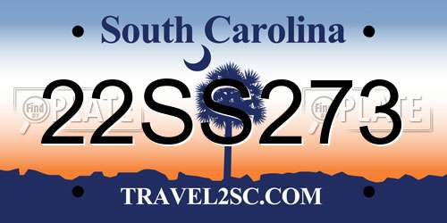 22SS273 South Carolina License Plate