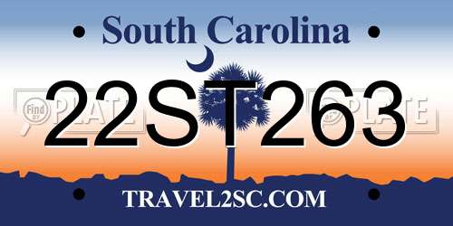 22ST263 South Carolina License Plate