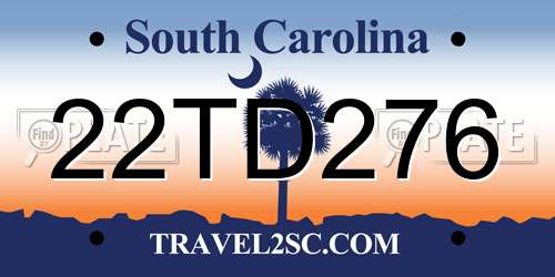 22TD276 South Carolina License Plate