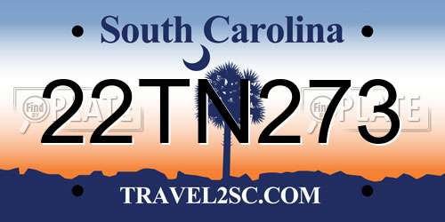 22TN273 South Carolina License Plate