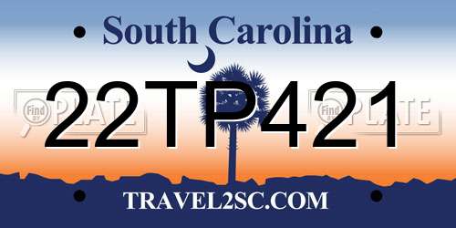 22TP421 South Carolina License Plate