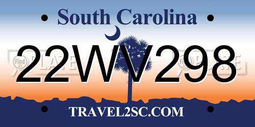 22WV298 South Carolina License Plate