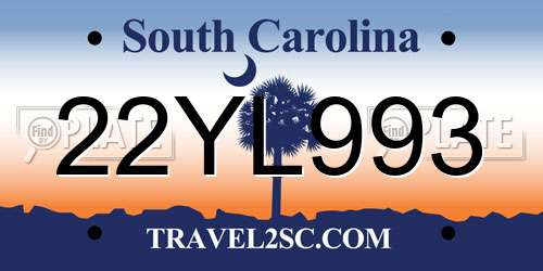22YL993 South Carolina License Plate
