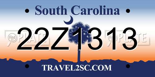 22Z1313 South Carolina License Plate