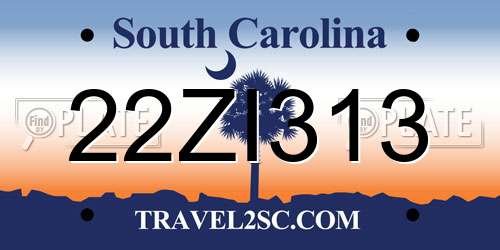 22ZI313 South Carolina License Plate