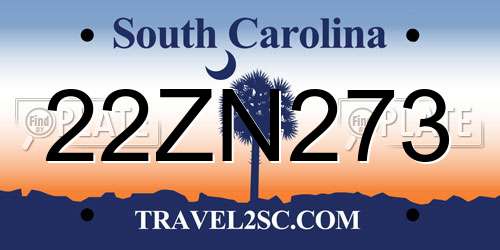 22ZN273 South Carolina License Plate