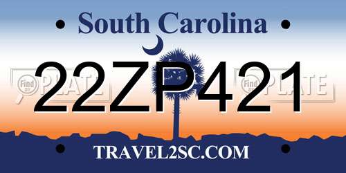 22ZP421 South Carolina License Plate