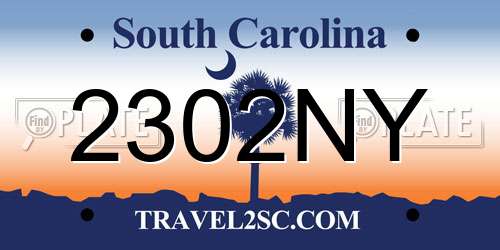 2302NY South Carolina License Plate