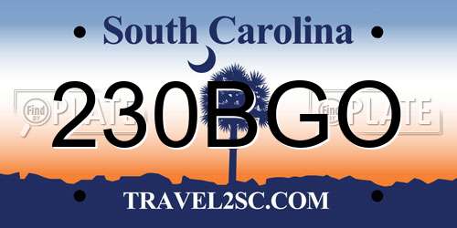 230BGO South Carolina License Plate