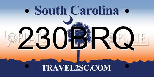 230BRQ South Carolina License Plate