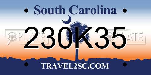 230K35 South Carolina License Plate