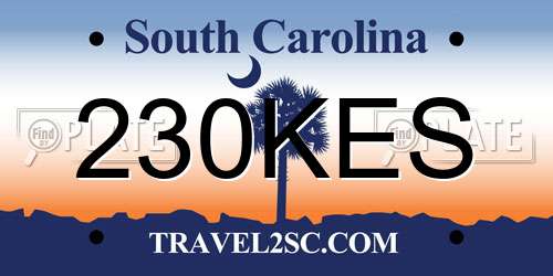 230KES South Carolina License Plate