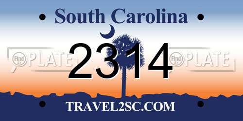 2314 South Carolina License Plate