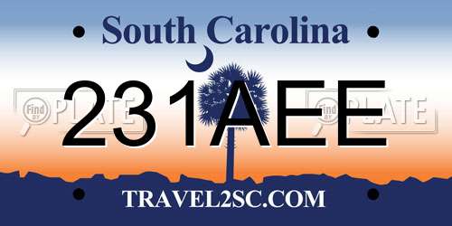 231AEE South Carolina License Plate