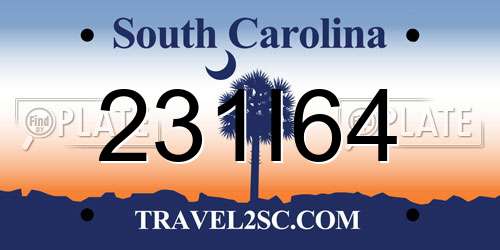 231I64 South Carolina License Plate
