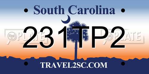 231TP2 South Carolina License Plate