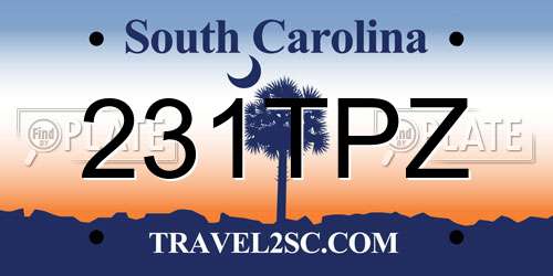 231TPZ South Carolina License Plate