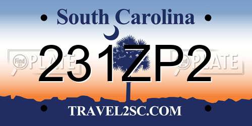 231ZP2 South Carolina License Plate